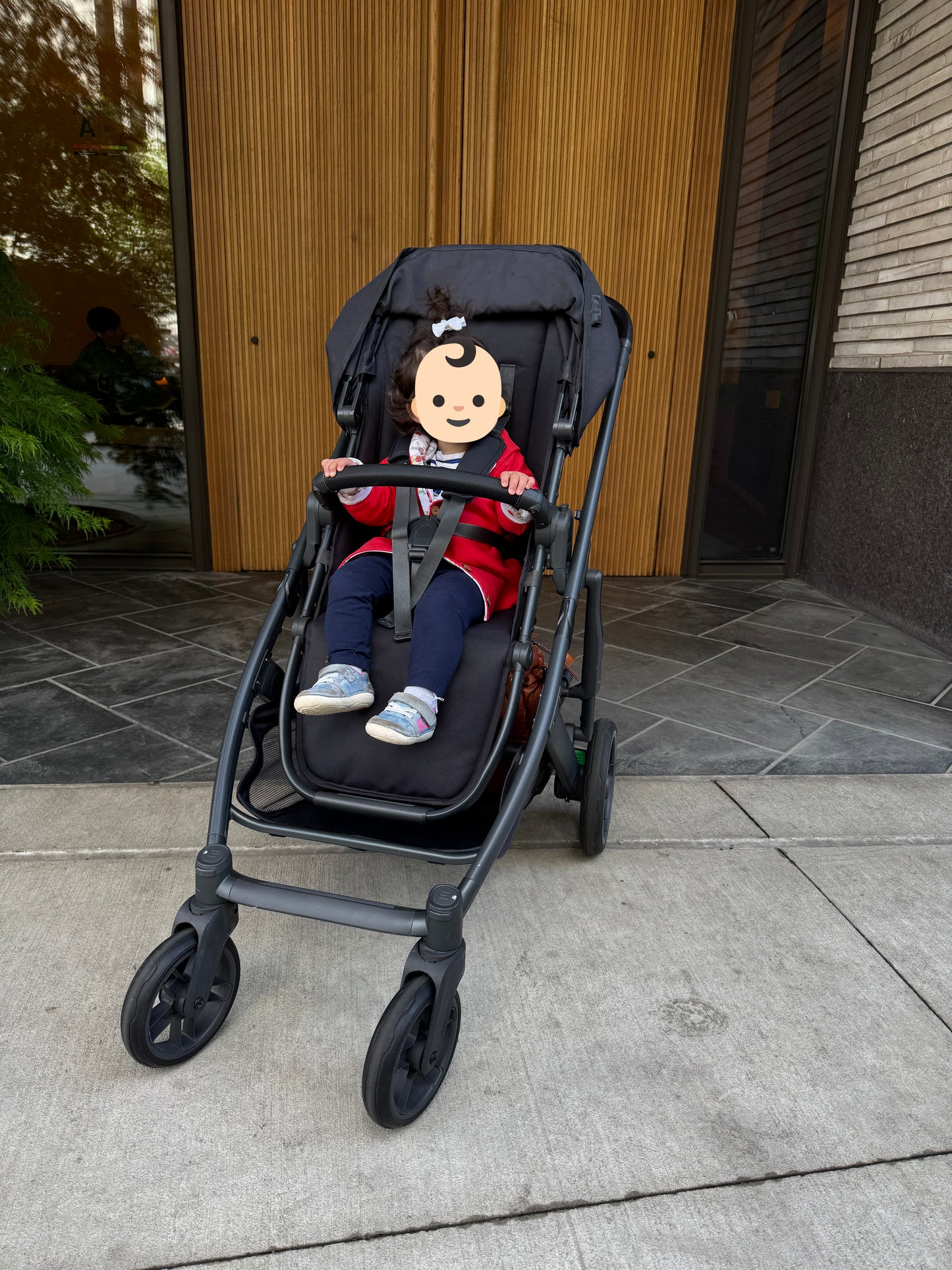 Uppababy Cruz V2