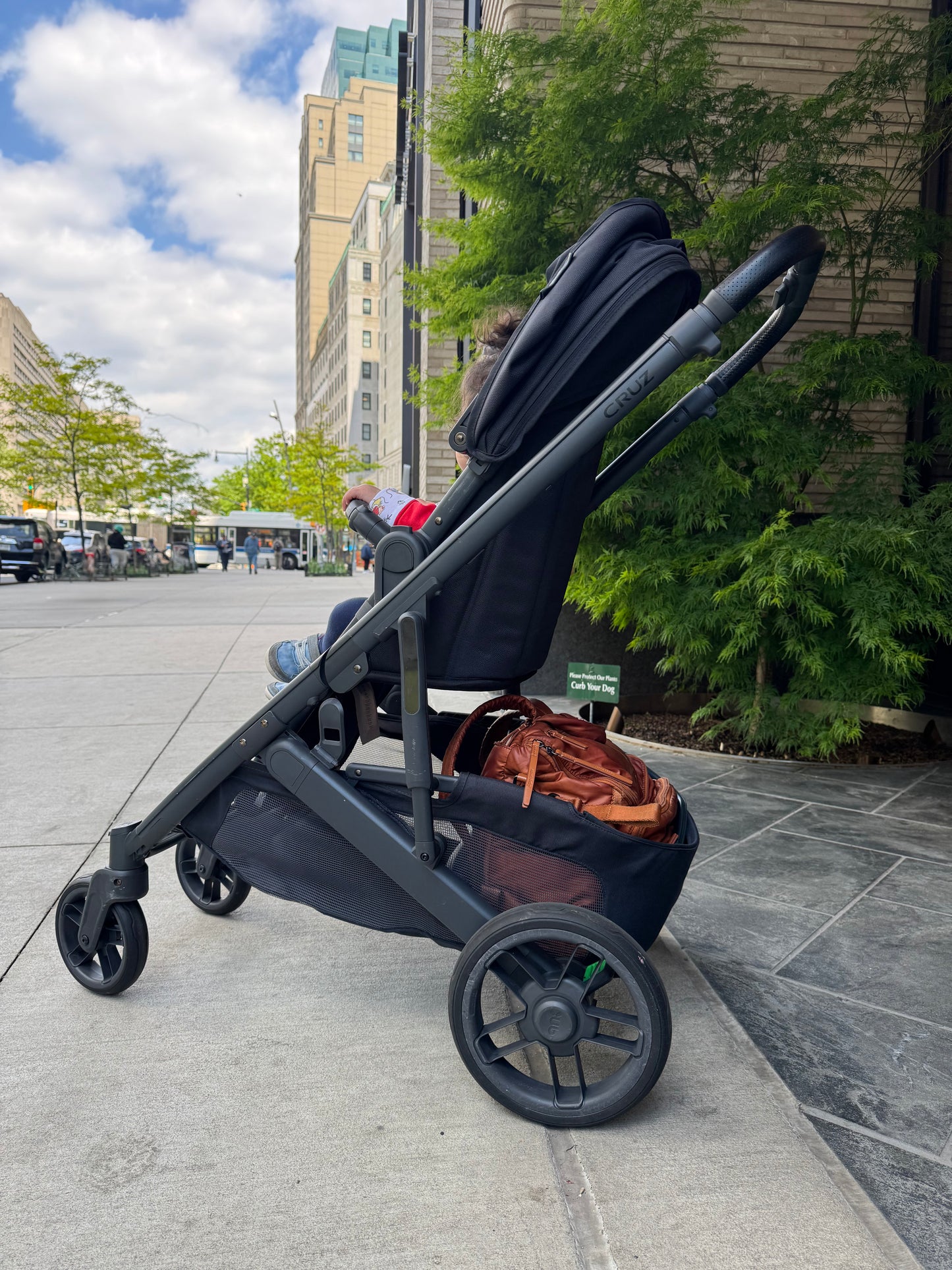 Uppababy Cruz V2